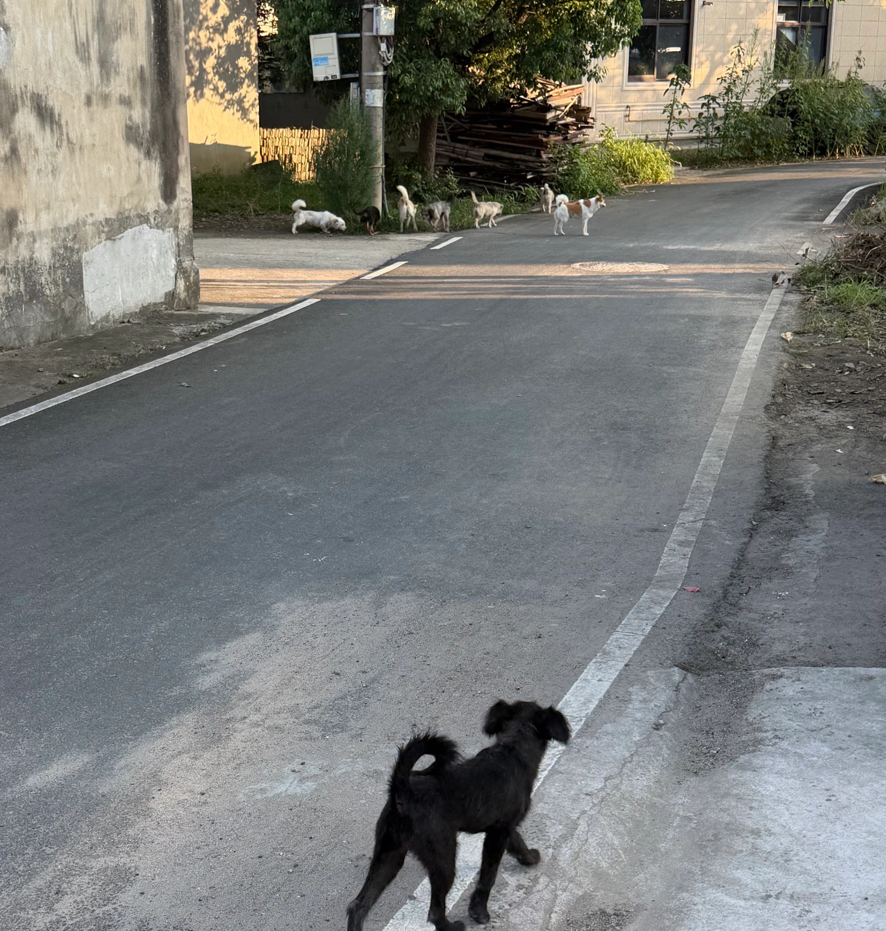 新访问 图片 2
