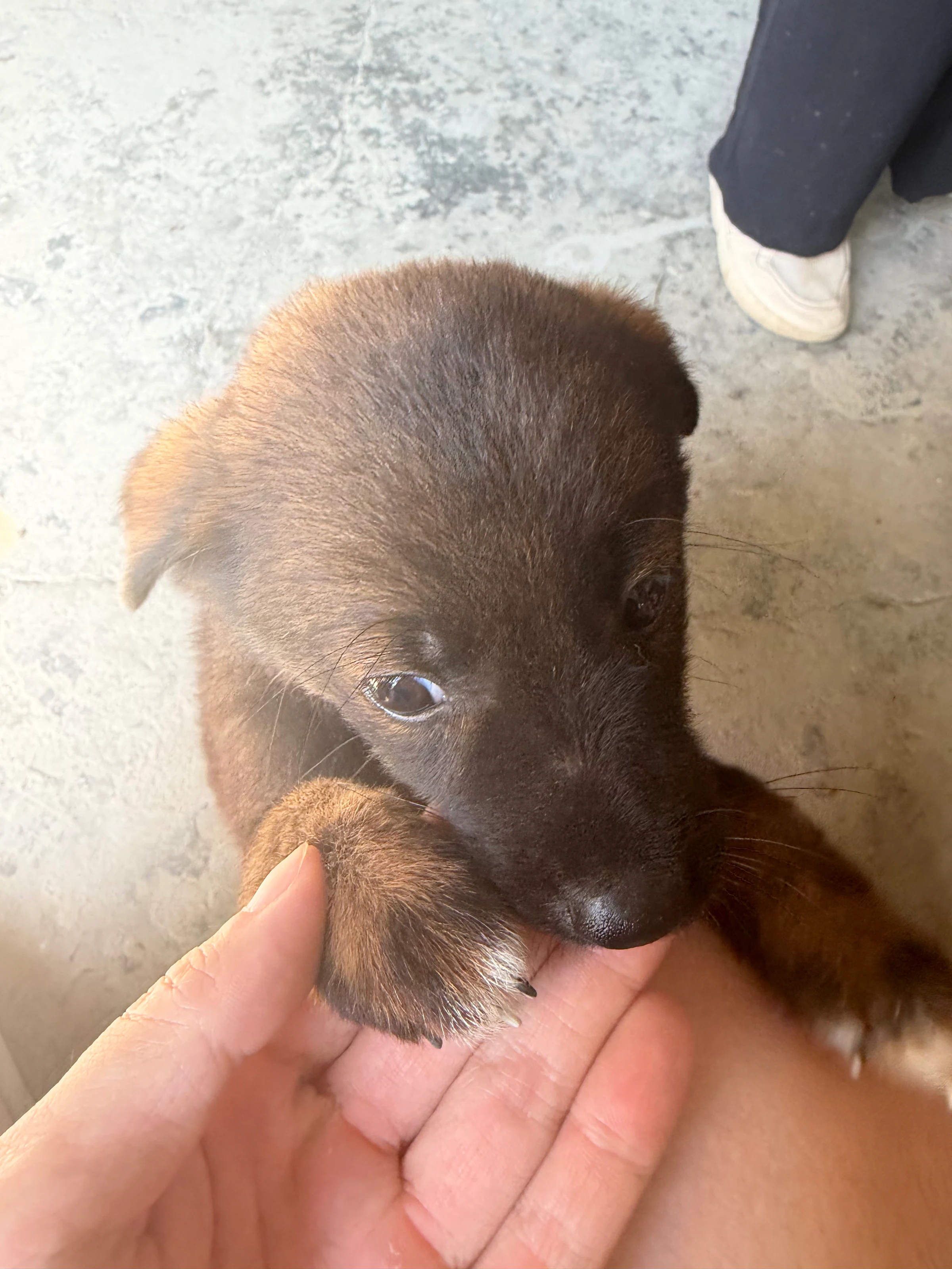 双图测试验收 图片 2